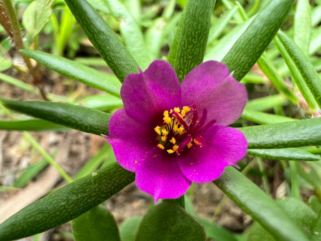 The God’s Way Ltd.&nbsp;Organisation